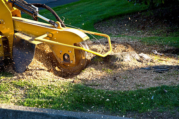 Mulching Services in Secaucus, NJ